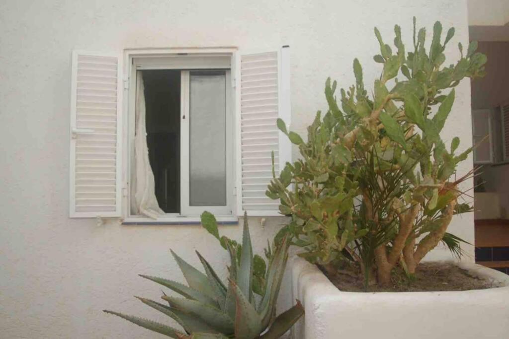 לה איסלטה דל מורו Apartamento A 2 Minutos Andando A La Playa. מראה חיצוני תמונה